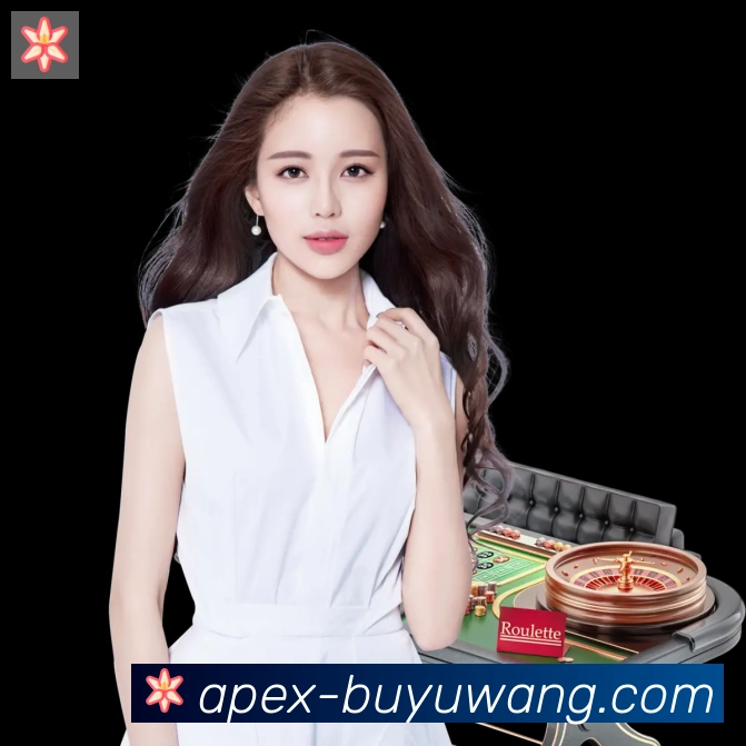 企业概况